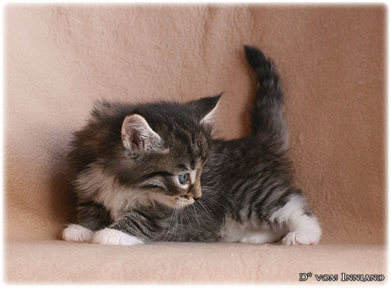 lilu_4_2__550x406_550x0.jpg